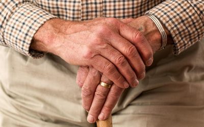 Pensii private, 237 miliarde lei active în iunie