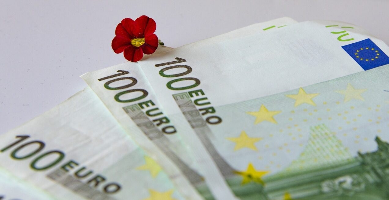 AFIR 2026: Fermierii primesc 5 mil. € pentru flori și plante din septembrie