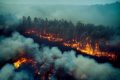 Gândacul PESTE INCENDII: De ce ne pasă
