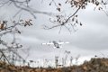 MApN, după explozia dronei: Radarele n-au detectat nimic
