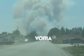 Grecia în flăcări! Românii, evacuați din stațiunea lor preferată