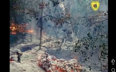 Incendiu la Plauru: Drone, un foc masiv în pădure