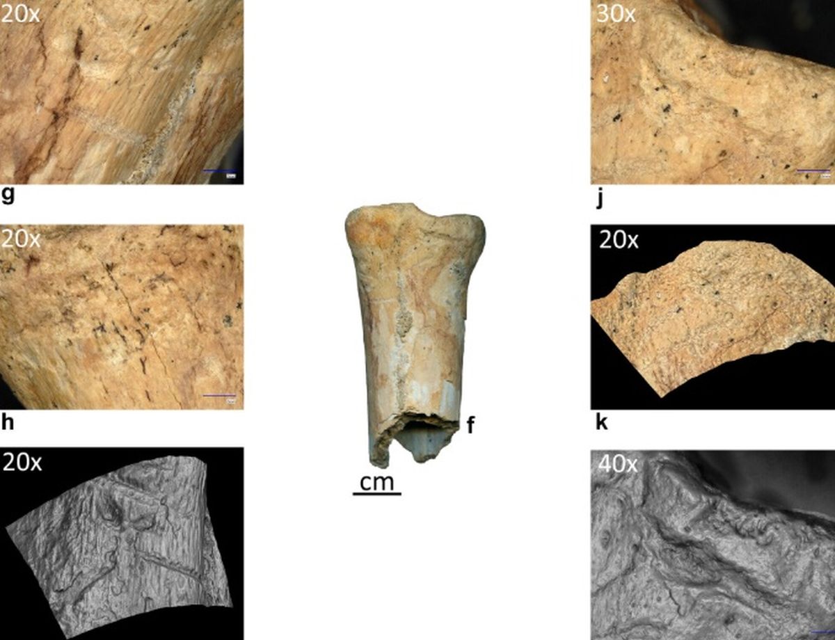 România: Unelte din os, premiere Neandertal în țară