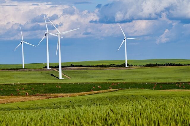 Guvernul dă undă verde parcurilor eoliene în Marea Neagră