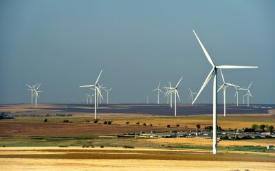 Bușoi (Energie): Eolianul reduce importurile, prognoze bune