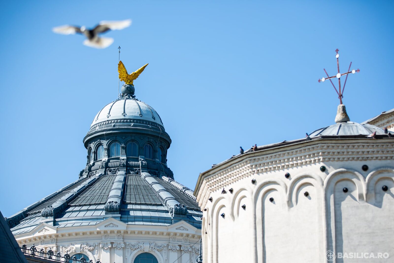 Patriarhia Română: Ajutor pentru victimele caniculei