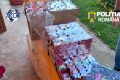 Contrabandă și grup infracțional: Percheziții în Neamț, Iași, Suceava