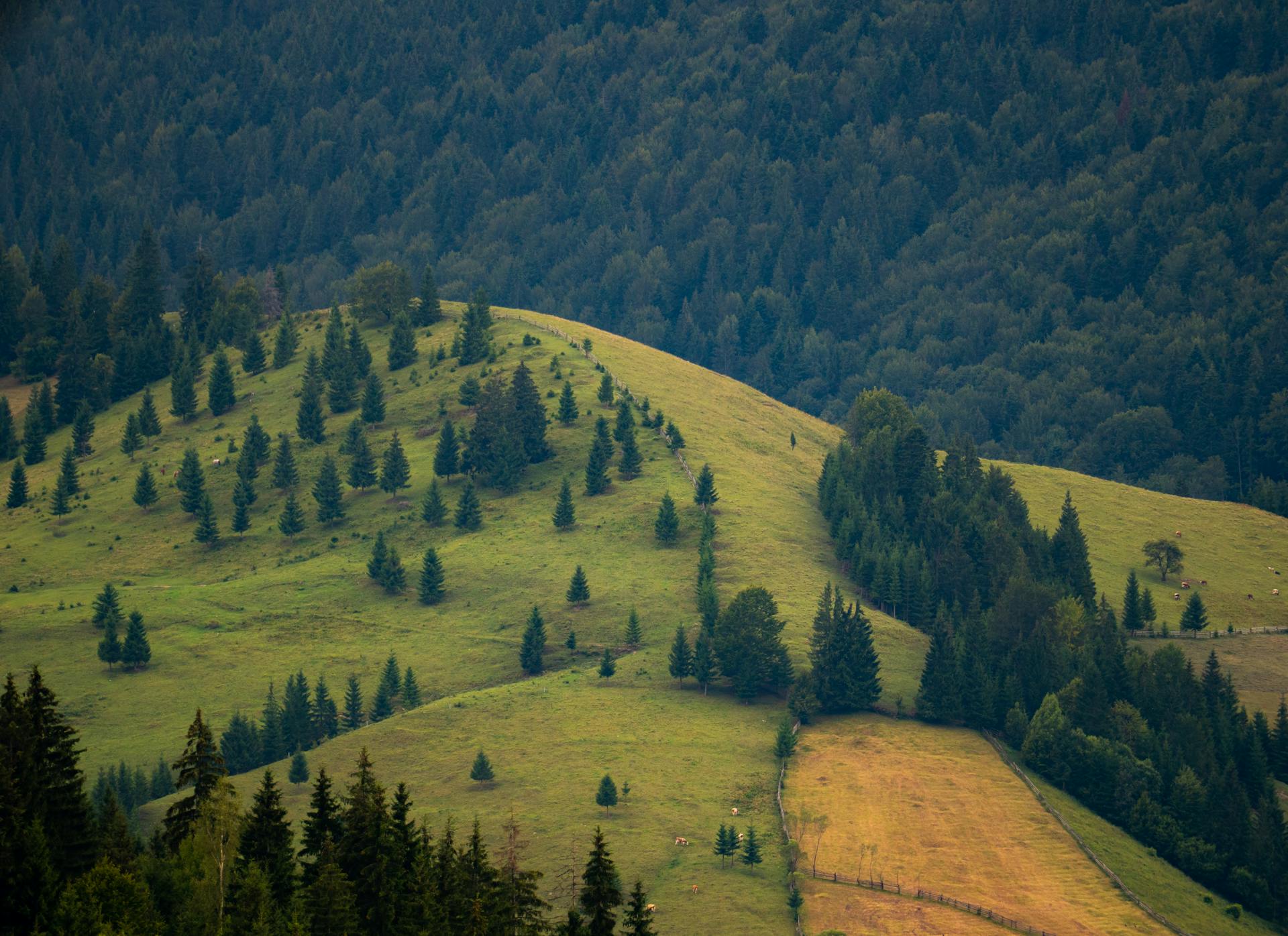 Legea Biodiversității: 972 mil. € vs. Realitatea românească
