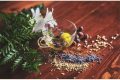 Cea mai bună soluție anti-insomnie: 7 plante naturale te scapă de oboseală
