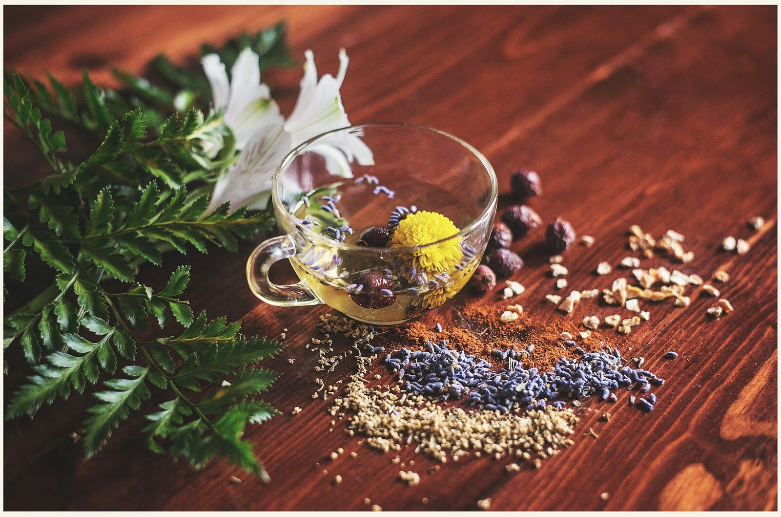 Cea mai bună soluție anti-insomnie: 7 plante naturale te scapă de oboseală
