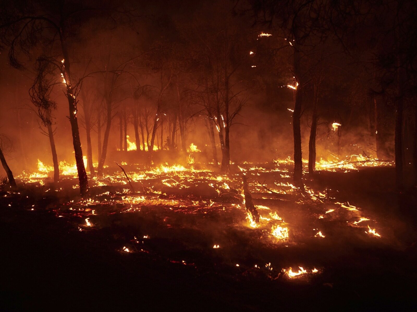 Spania: Regi din secolul XI salvați de la foc din mănăstire