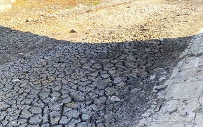 Bihor: 33 de localități sub FOCUL secetei, apa, un lux