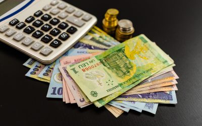 Declarația 112, o dilemă. Fiscul, prins la înghesuială