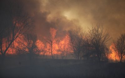Caraș-Severin sub flăcări: Pompierii luptă cu incendiile de vegetație