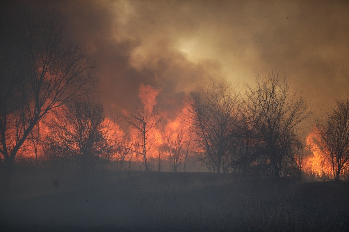 Caraș-Severin sub flăcări: Pompierii luptă cu incendiile de vegetație