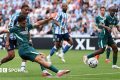 Premier League LIVE: Coventry City vs Brighton & Hove Albion - preview, team news, radio commentary, text updates, match stats & head-to-head