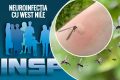 West Nile: Virusul face victime în România