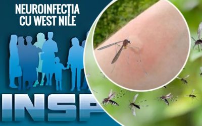 West Nile: Virusul face victime în România