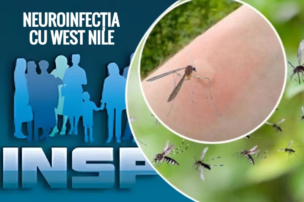 West Nile: Virusul face victime în România