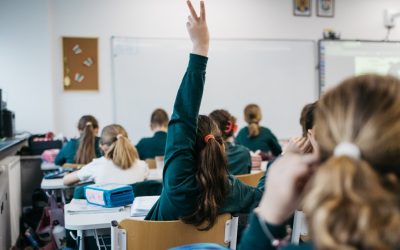 Képünk illusztráció &bullet;  Fotó: Olti Angyalka