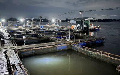 Vietnam.vn - Nền tảng quảng bá Việt Nam