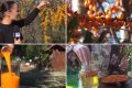 Cătina: Aurul portocaliu al românilor, miracol iernatic