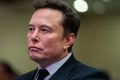 Musk, obsesie cu copiii înainte de război civil