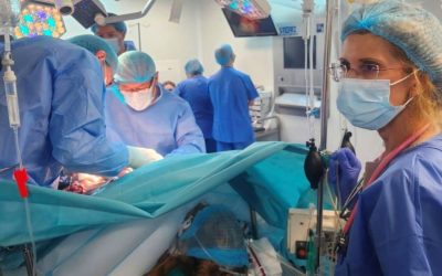 Wilson, transplant hepatic: 30 la Fundeni anul acesta