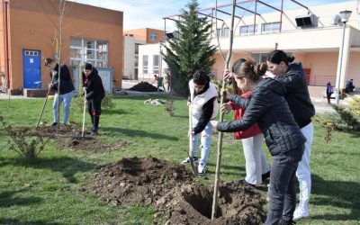 PISA schimbă școala: Ce vrea ministrul Educației