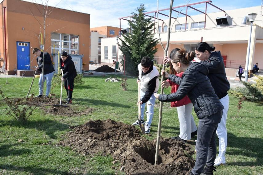 PISA schimbă școala: Ce vrea ministrul Educației