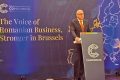 Dan Șucu: Companiile străine au investit în România, nu a fost caritate
