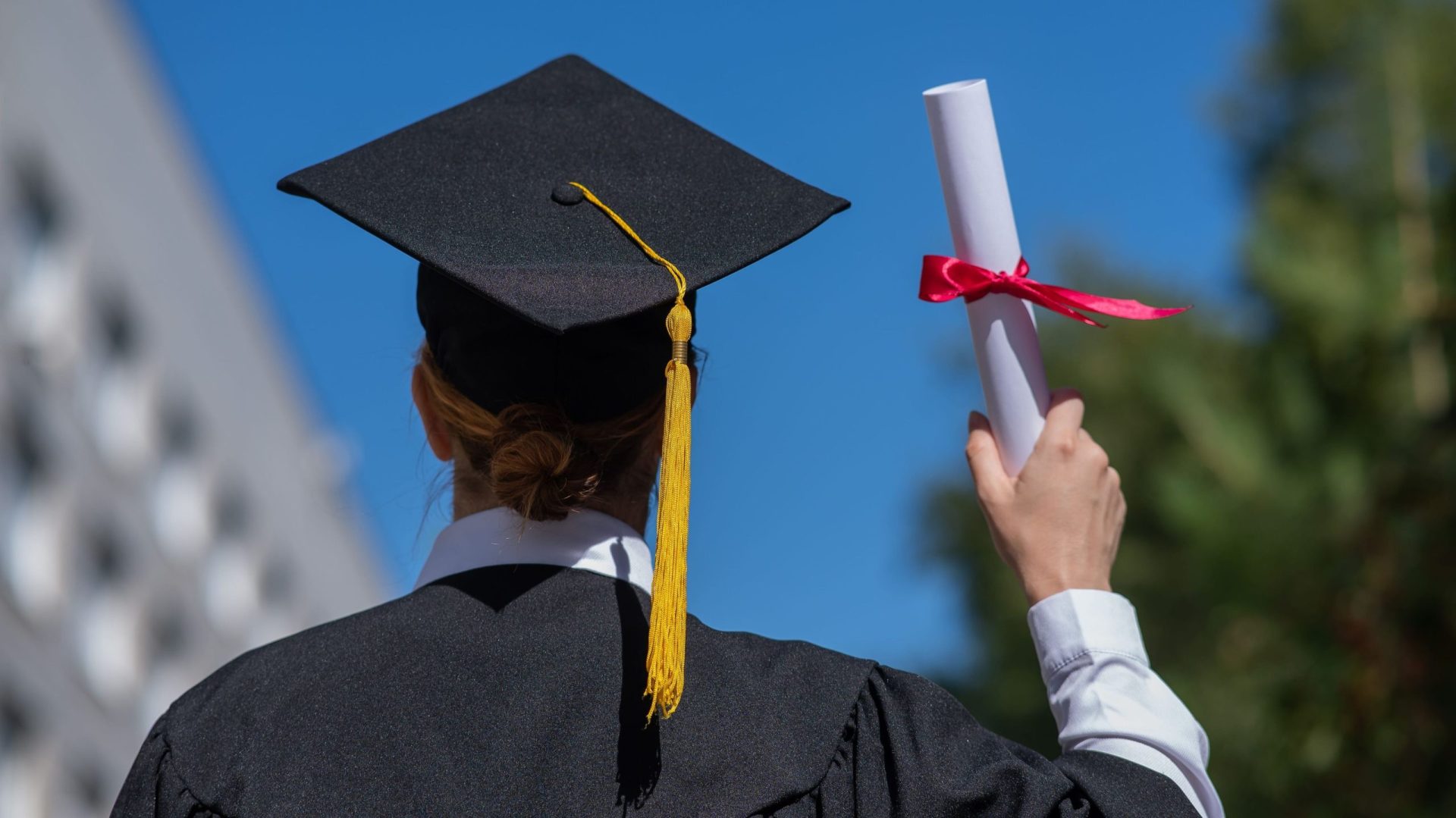 Facultatea viitorului: Șapte opțiuni de studiu în era AI