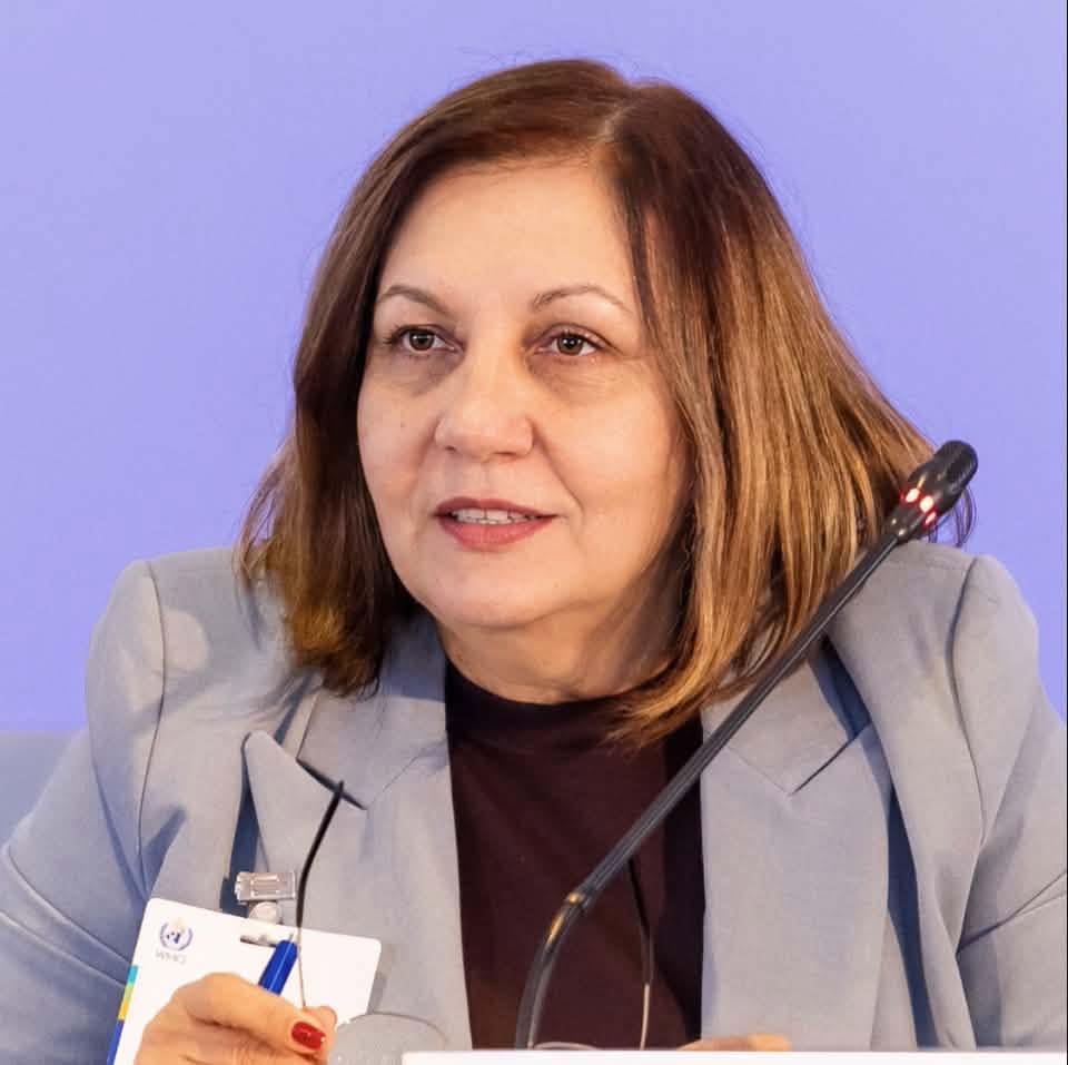 Elena Mateescu: Nu am nicio implicare în achiziții, e o campanie de schimbare