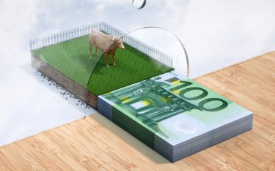 Fermierii încep să primească avansul din subvenții pe 16 octombrie. Cât se poate încasa pe hectar sau pe animal