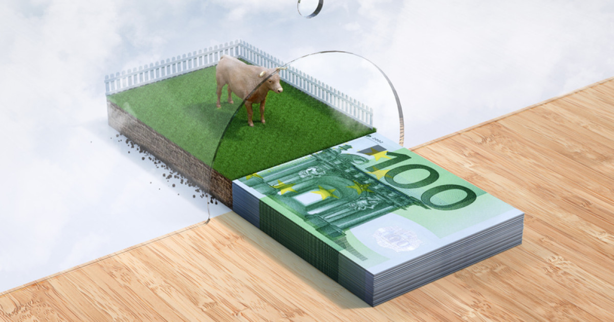 Fermierii încep să primească avansul din subvenții pe 16 octombrie. Cât se poate încasa pe hectar sau pe animal