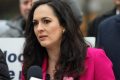 Diana Stoica: Niculescu, susținut de PSD în carieră