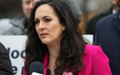 Diana Stoica: Niculescu, susținut de PSD în carieră