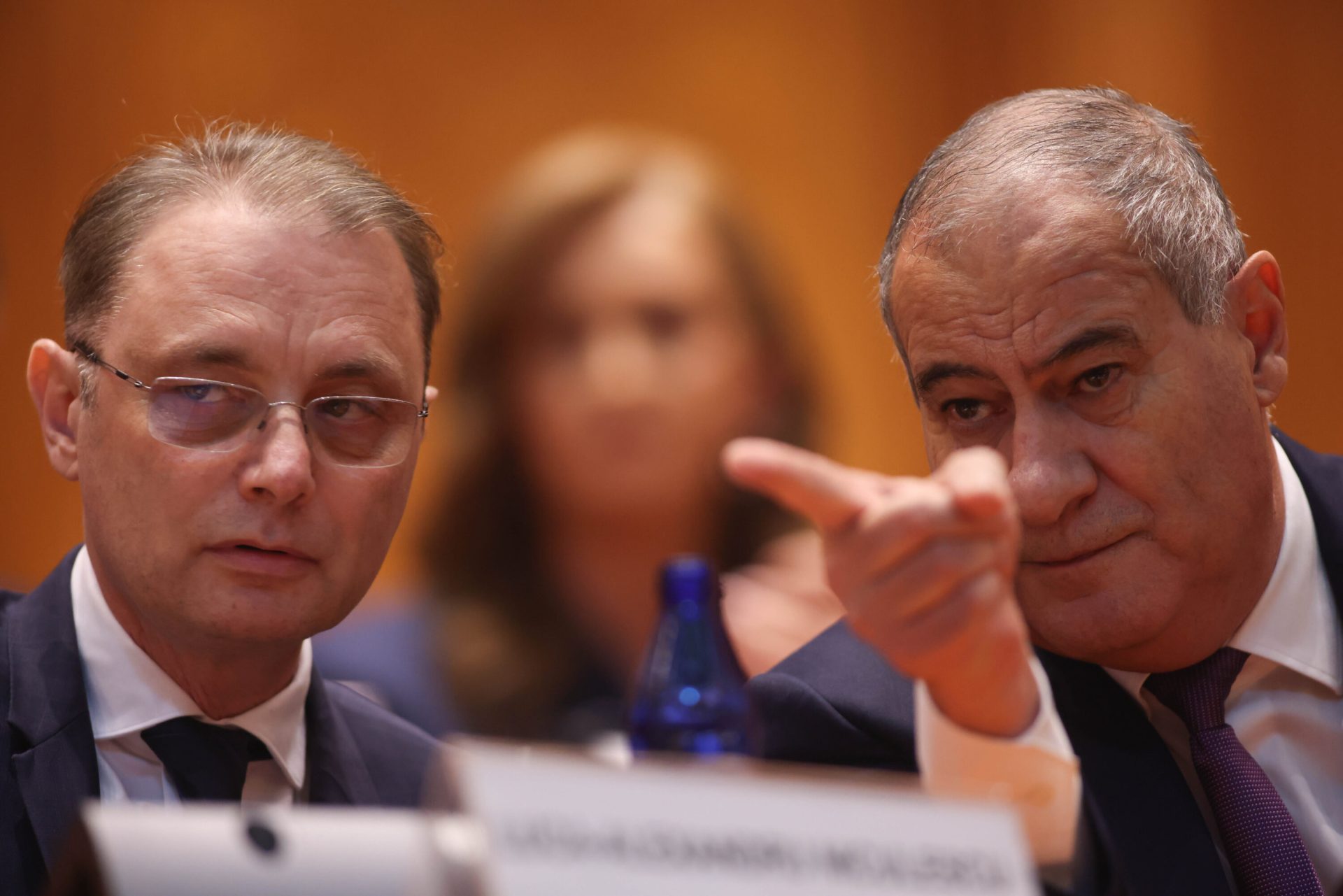 Guvernul Niculescu: PSD și Nicușor Dan la Palatul Victoria