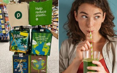 Eco-friendliness of paper straws, tote bags, EVs busted