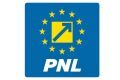 PNL susține Guvernul Luca Niculescu, dar rămâne în opoziție