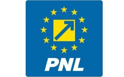 PNL susține Guvernul Luca Niculescu, dar rămâne în opoziție