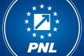 PNL votează sâmbătă online Guvernul Niculescu
