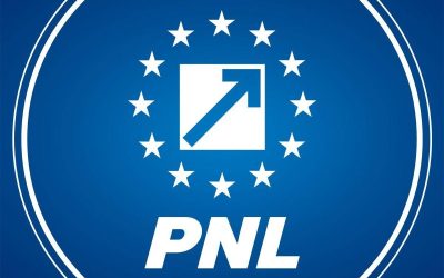 PNL votează sâmbătă online Guvernul Niculescu