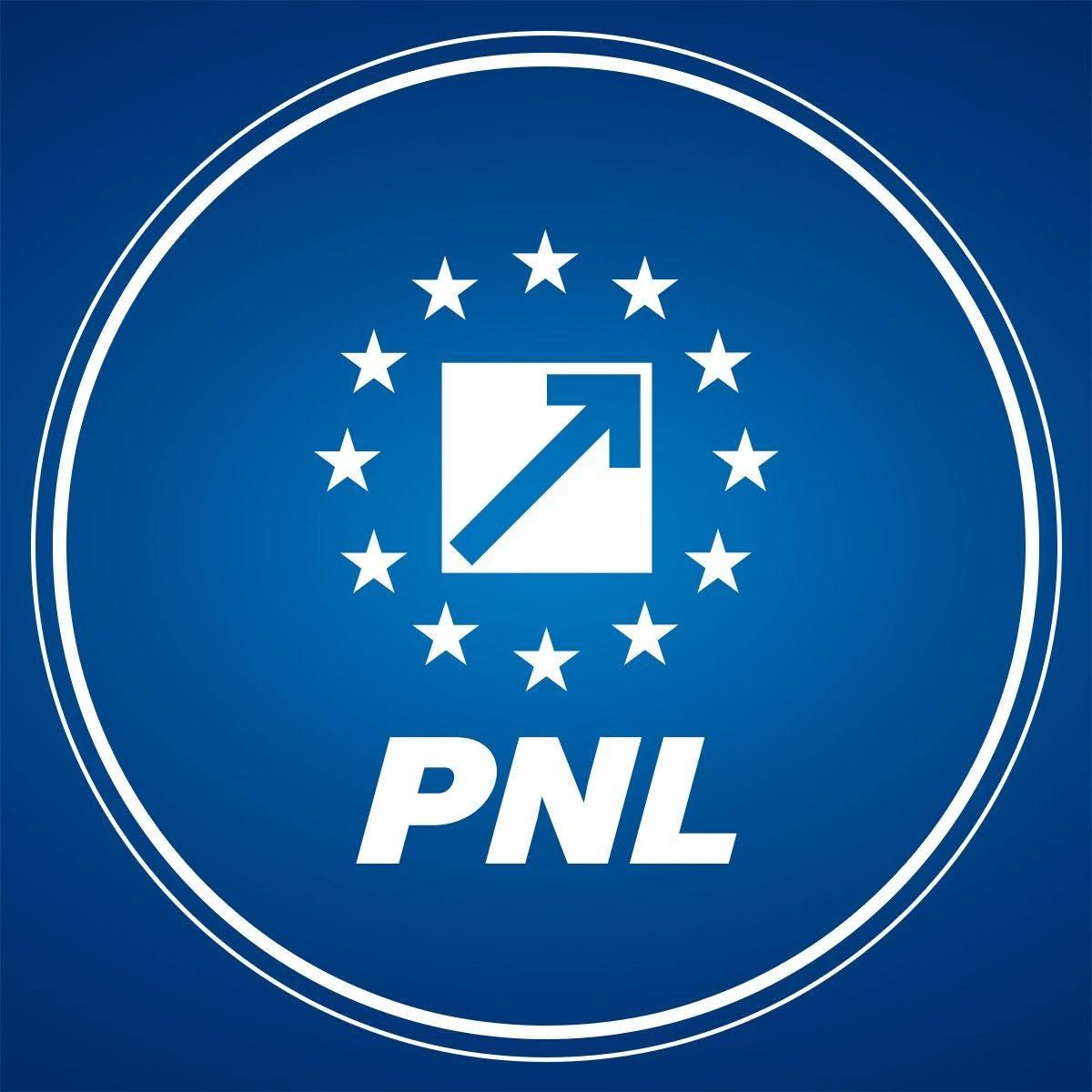 PNL votează sâmbătă online Guvernul Niculescu