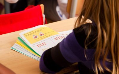 Costreie mută bursele sociale la Muncă: „Nu le vom reintroduce la fel”