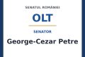 Senatul, Petre și InfoCons: Ce trebuie să știi