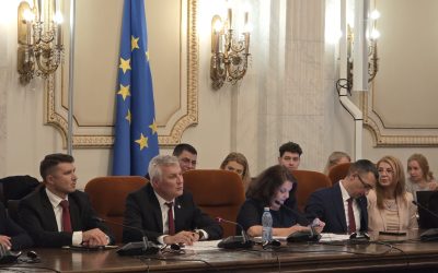 Zamfir: România, furnizor de materii prime critice prelucrate