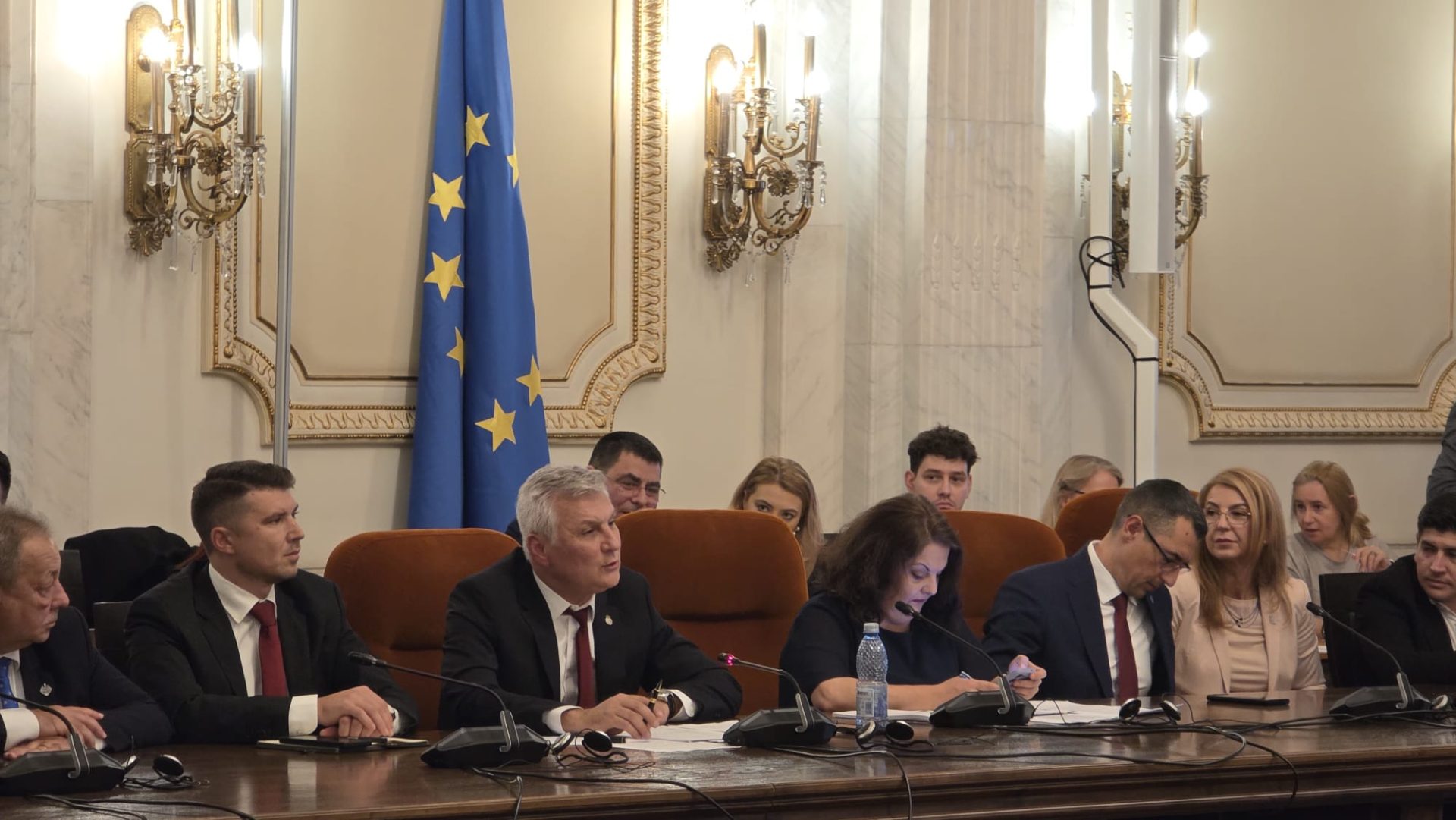 Zamfir: România, furnizor de materii prime critice prelucrate