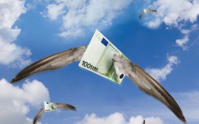 Multinaționale românești: Digi lider, BT scade. 269 firme românești la export
