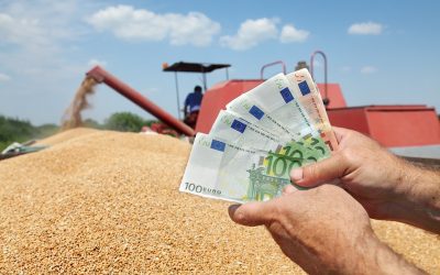 APIA: Bani europeni la fermieri, avansul subvențiilor curând